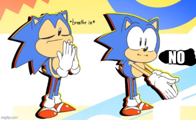 Sonic Boi | NO | image tagged in sonic boi | made w/ Imgflip meme maker