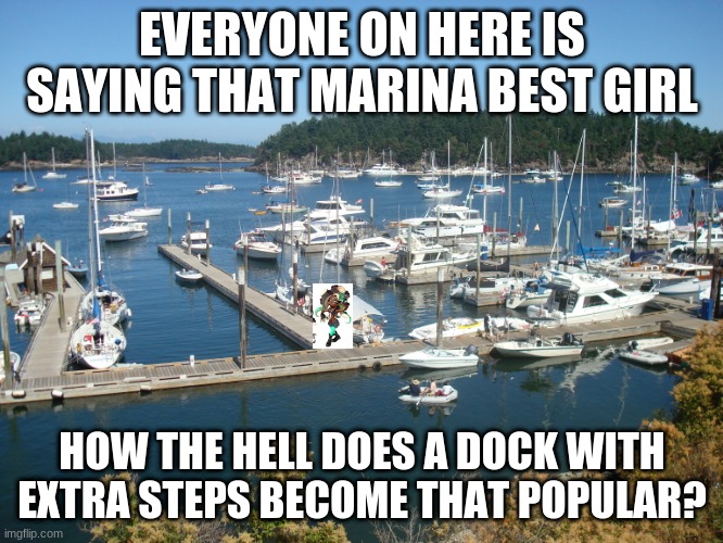 yeah, how does it? | EVERYONE ON HERE IS SAYING THAT MARINA BEST GIRL; HOW THE HELL DOES A DOCK WITH EXTRA STEPS BECOME THAT POPULAR? | image tagged in splatoon | made w/ Imgflip meme maker