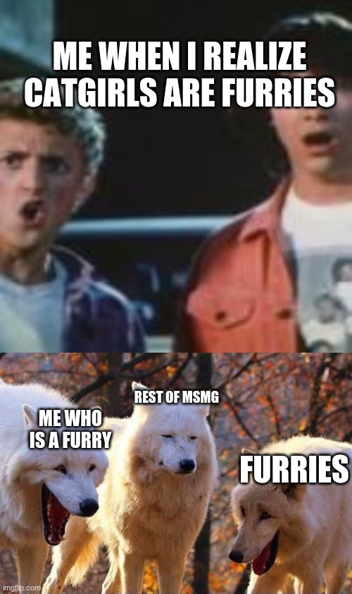 oof | ME WHEN I REALIZE CATGIRLS ARE FURRIES; REST OF MSMG; ME WHO IS A FURRY; FURRIES | image tagged in laughing wolf | made w/ Imgflip meme maker