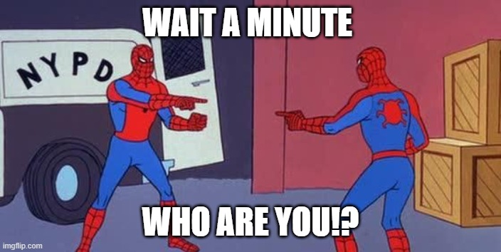 Spider Man Double | WAIT A MINUTE; WHO ARE YOU!? | image tagged in spider man double | made w/ Imgflip meme maker