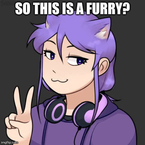 SO THIS IS A FURRY? | image tagged in kasey as a teen | made w/ Imgflip meme maker