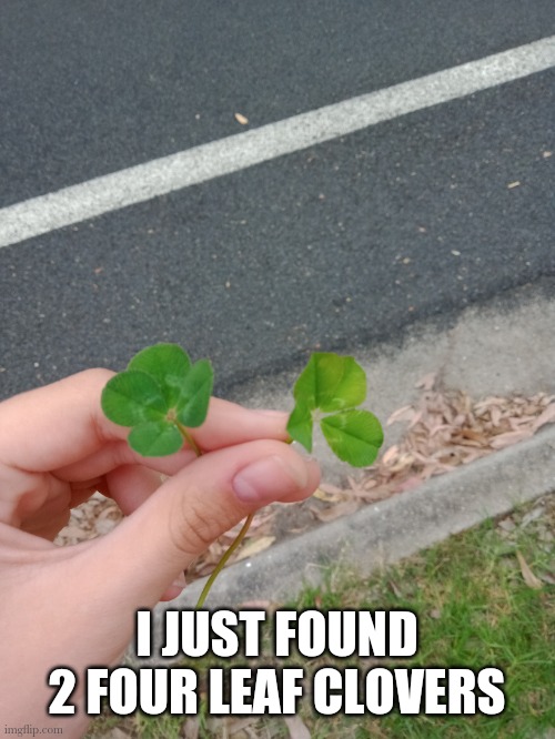 I JUST FOUND 2 FOUR LEAF CLOVERS | made w/ Imgflip meme maker