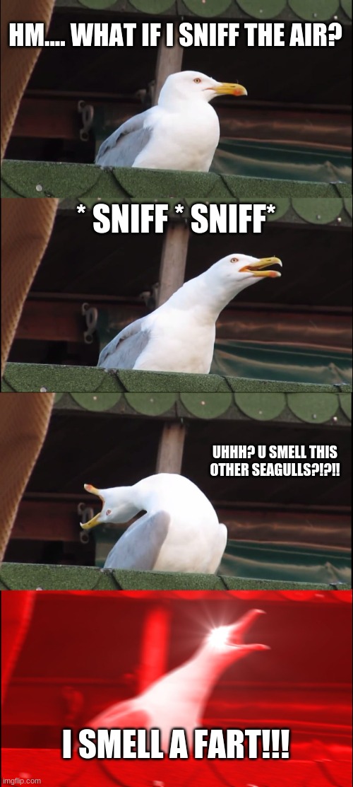 F . A . R . T . S . industry | HM.... WHAT IF I SNIFF THE AIR? * SNIFF * SNIFF*; UHHH? U SMELL THIS OTHER SEAGULLS?!?!! I SMELL A FART!!! | image tagged in memes,inhaling seagull,sniff,fire fart | made w/ Imgflip meme maker