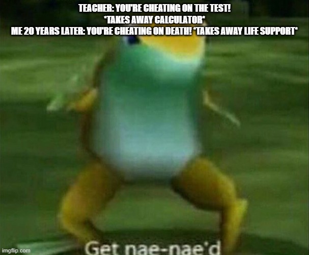 You just got nae-vector-rolled | TEACHER: YOU'RE CHEATING ON THE TEST! *TAKES AWAY CALCULATOR*
ME 20 YEARS LATER: YOU'RE CHEATING ON DEATH! *TAKES AWAY LIFE SUPPORT* | image tagged in get nae-nae'd,teacher,life support,ha ha tags go brr,memes,cha cha real smooth | made w/ Imgflip meme maker