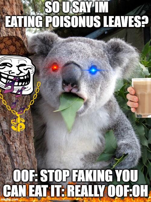 Poison | SO U SAY IM EATING POISONUS LEAVES? OOF: STOP FAKING YOU CAN EAT IT: REALLY OOF:OH | image tagged in memes,surprised koala,poison | made w/ Imgflip meme maker