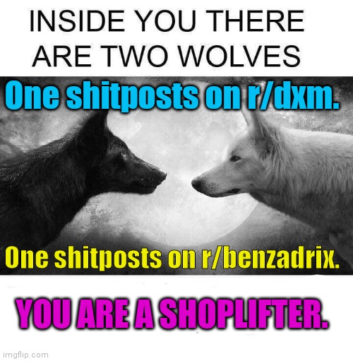 Inside you there are two wolves | One shitposts on r/dxm. One shitposts on r/benzadrix. YOU ARE A SHOPLIFTER. | image tagged in inside you there are two wolves,drugscirclejerk | made w/ Imgflip meme maker