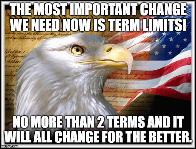 Term Limits | THE MOST IMPORTANT CHANGE WE NEED NOW IS TERM LIMITS! NO MORE THAN 2 TERMS AND IT WILL ALL CHANGE FOR THE BETTER. | image tagged in stop it,change,constitution,government corruption | made w/ Imgflip meme maker