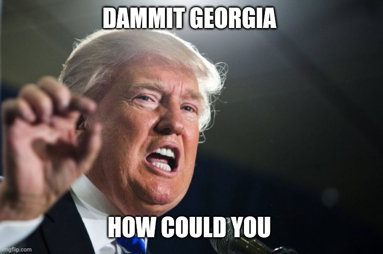 donald trump | DAMMIT GEORGIA HOW COULD YOU | image tagged in donald trump | made w/ Imgflip meme maker