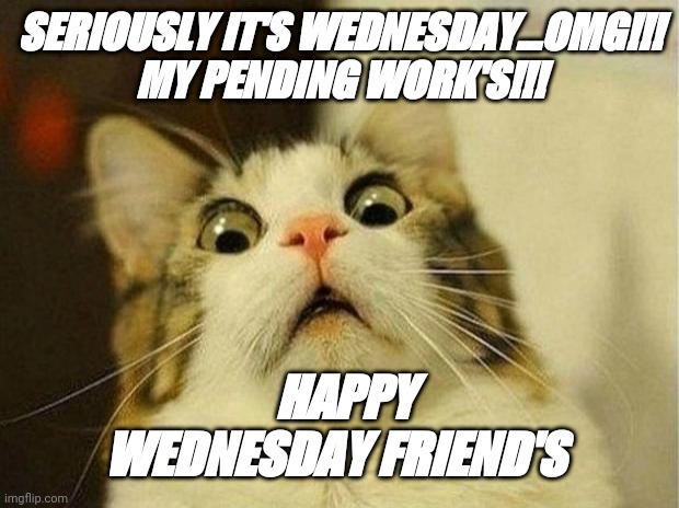 Scared Cat | SERIOUSLY IT'S WEDNESDAY...OMG!!!
MY PENDING WORK'S!!! HAPPY WEDNESDAY FRIEND'S | image tagged in memes,scared cat | made w/ Imgflip meme maker