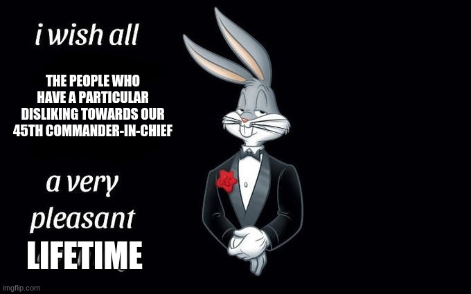 I wish all the X a very pleasant evening | THE PEOPLE WHO HAVE A PARTICULAR DISLIKING TOWARDS OUR 45TH COMMANDER-IN-CHIEF; LIFETIME | image tagged in i wish all the x a very pleasant evening | made w/ Imgflip meme maker