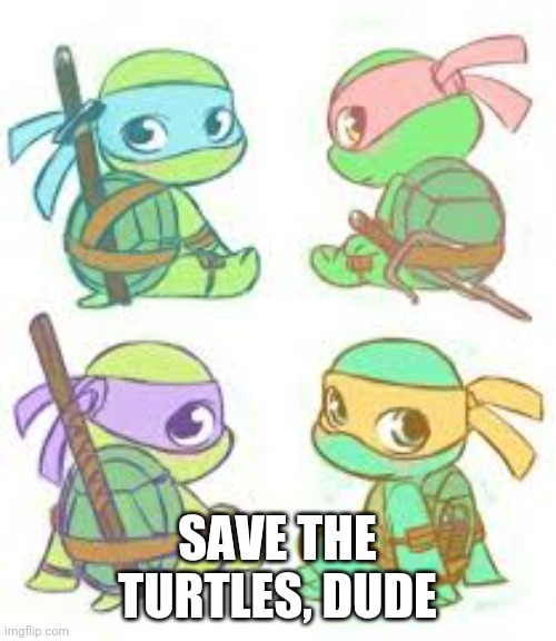 I still hate vscos but c'mon... | SAVE THE TURTLES, DUDE | made w/ Imgflip meme maker