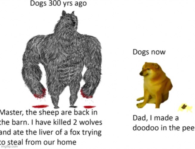 Buff dodge | image tagged in increasingly buff,buff doge vs cheems | made w/ Imgflip meme maker