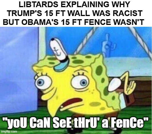 Mocking Spongebob Meme | LIBTARDS EXPLAINING WHY TRUMP'S 15 FT WALL WAS RACIST BUT OBAMA'S 15 FT FENCE WASN'T "yoU CaN SeE tHrU' a FenCe" | image tagged in memes,mocking spongebob | made w/ Imgflip meme maker