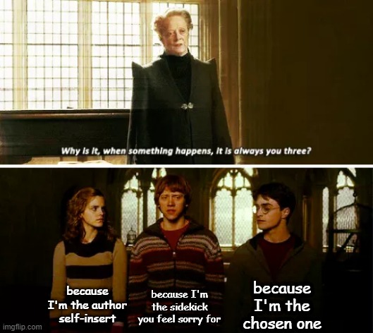 If Harry Potter Were Honest | because I'm the chosen one; because I'm the author self-insert; because I'm the sidekick you feel sorry for | image tagged in always you three,harry potter | made w/ Imgflip meme maker