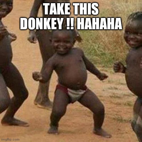 Engraçado | TAKE THIS DONKEY !! HAHAHA | image tagged in memes,third world success kid | made w/ Imgflip meme maker