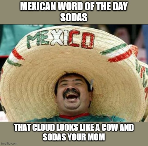 mexican word of the day | MEXICAN WORD OF THE DAY
SODAS; THAT CLOUD LOOKS LIKE A COW AND
SODAS YOUR MOM | image tagged in mexican word of the day | made w/ Imgflip meme maker