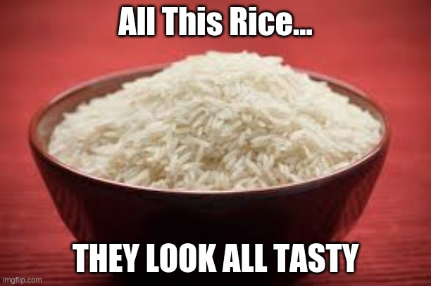 I Love Rice | All This Rice... THEY LOOK ALL TASTY | image tagged in all this rice | made w/ Imgflip meme maker