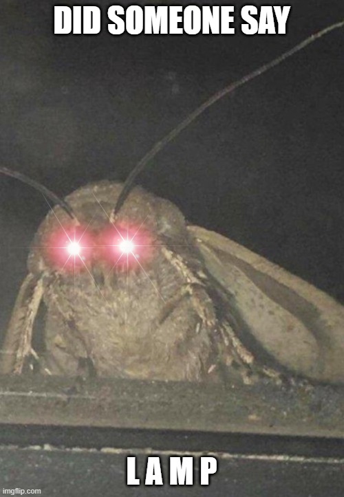 Moth | DID SOMEONE SAY; L A M P | image tagged in moth | made w/ Imgflip meme maker