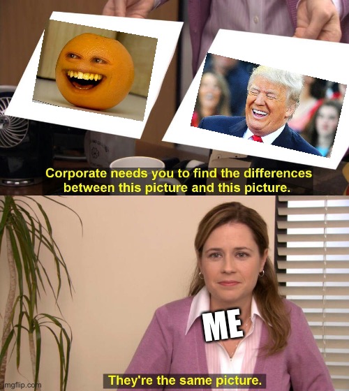 They are the same picture | ME | image tagged in they are the same picture | made w/ Imgflip meme maker