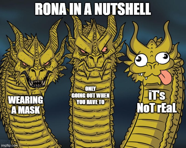 Three-headed Dragon | RONA IN A NUTSHELL; ONLY GOING OUT WHEN YOU HAVE TO; iT's NoT rEaL; WEARING A MASK | image tagged in three-headed dragon | made w/ Imgflip meme maker