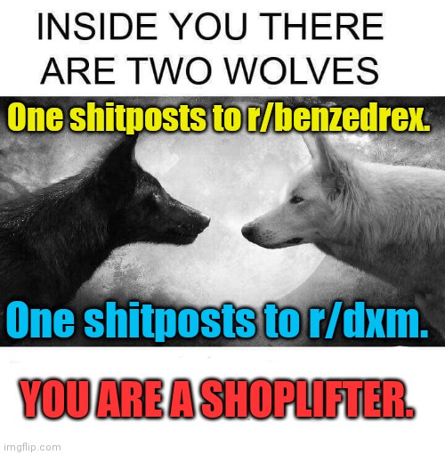 Inside you there are two wolves | One shitposts to r/benzedrex. One shitposts to r/dxm. YOU ARE A SHOPLIFTER. | image tagged in inside you there are two wolves,dxm | made w/ Imgflip meme maker