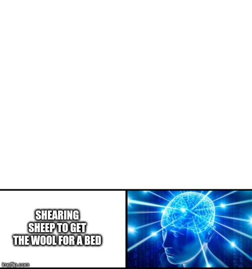SHEARING SHEEP TO GET THE WOOL FOR A BED | image tagged in blank white template,expanding brain 4 panels | made w/ Imgflip meme maker