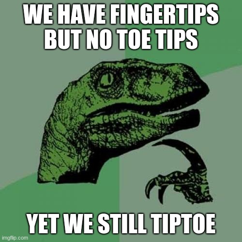 one of the many unsovled mysteries of man | WE HAVE FINGERTIPS BUT NO TOE TIPS; YET WE STILL TIPTOE | image tagged in memes,philosoraptor | made w/ Imgflip meme maker