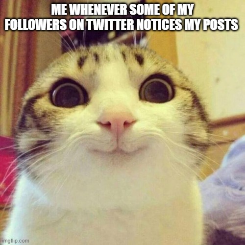 me whenever some of my followers on twitter | ME WHENEVER SOME OF MY FOLLOWERS ON TWITTER NOTICES MY POSTS | image tagged in memes,smiling cat | made w/ Imgflip meme maker