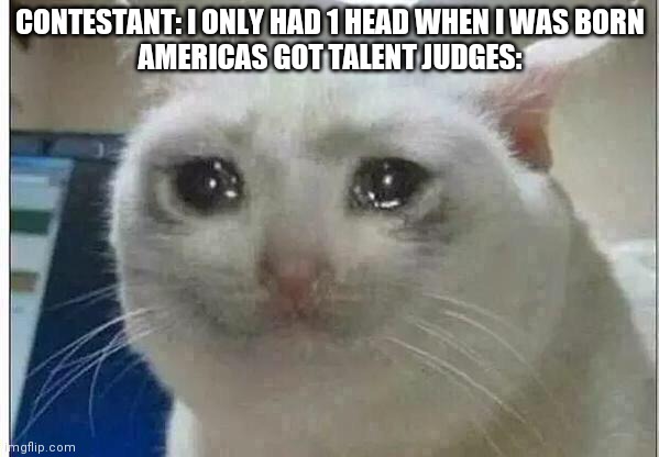 crying cat | CONTESTANT: I ONLY HAD 1 HEAD WHEN I WAS BORN
AMERICAS GOT TALENT JUDGES: | image tagged in crying cat | made w/ Imgflip meme maker