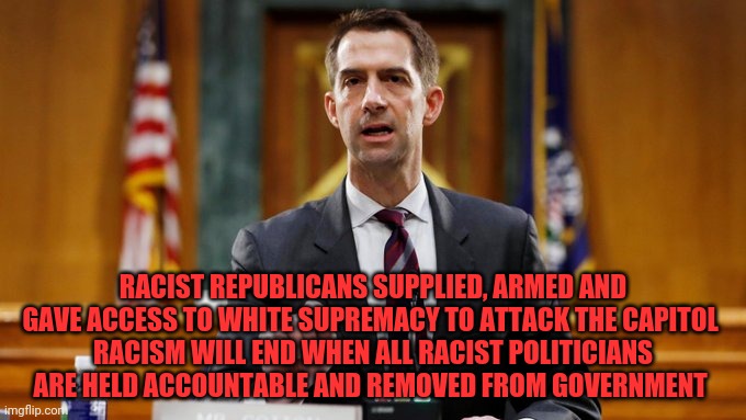 Tom Cotton | RACIST REPUBLICANS SUPPLIED, ARMED AND GAVE ACCESS TO WHITE SUPREMACY TO ATTACK THE CAPITOL 
RACISM WILL END WHEN ALL RACIST POLITICIANS ARE HELD ACCOUNTABLE AND REMOVED FROM GOVERNMENT | image tagged in tom cotton | made w/ Imgflip meme maker
