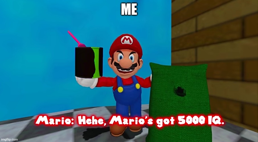 Hehe. Marios got 5000 IQ | ME | image tagged in hehe marios got 5000 iq | made w/ Imgflip meme maker