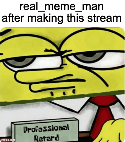 question why? | real_meme_man after making this stream | image tagged in blank white template,professional retard | made w/ Imgflip meme maker