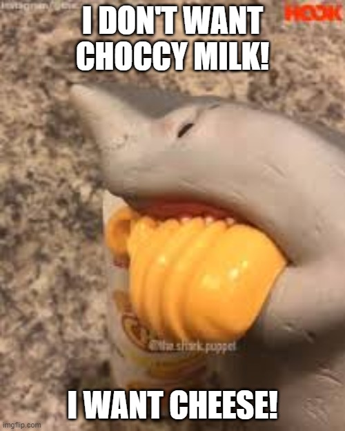 i want cheese! |  I DON'T WANT CHOCCY MILK! I WANT CHEESE! | image tagged in shark puppet yeah cheese | made w/ Imgflip meme maker