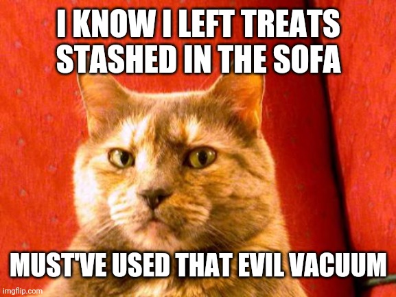 Suspicious Cat Meme | I KNOW I LEFT TREATS STASHED IN THE SOFA; MUST'VE USED THAT EVIL VACUUM | image tagged in memes,suspicious cat | made w/ Imgflip meme maker
