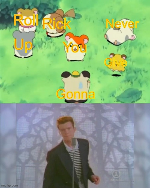 Roll; Rick; Never; Up; You; Give; Gonna | image tagged in hamtaro and the gang,rick roll | made w/ Imgflip meme maker