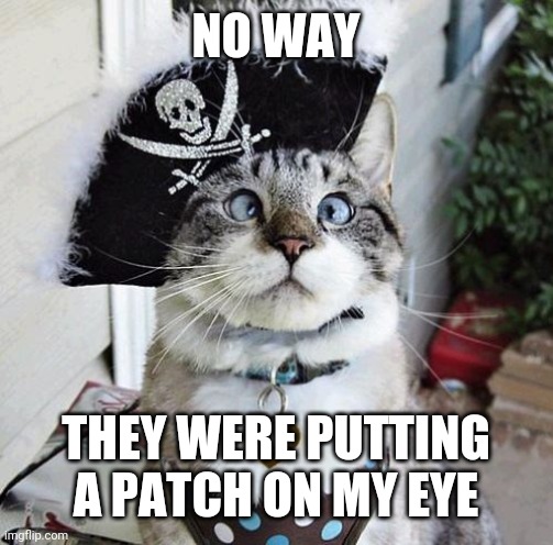 Spangles Meme | NO WAY; THEY WERE PUTTING A PATCH ON MY EYE | image tagged in memes,spangles | made w/ Imgflip meme maker