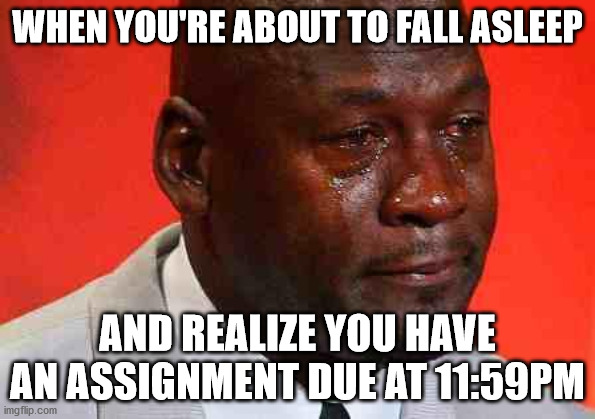 crying michael jordan | WHEN YOU'RE ABOUT TO FALL ASLEEP; AND REALIZE YOU HAVE AN ASSIGNMENT DUE AT 11:59PM | image tagged in crying michael jordan | made w/ Imgflip meme maker