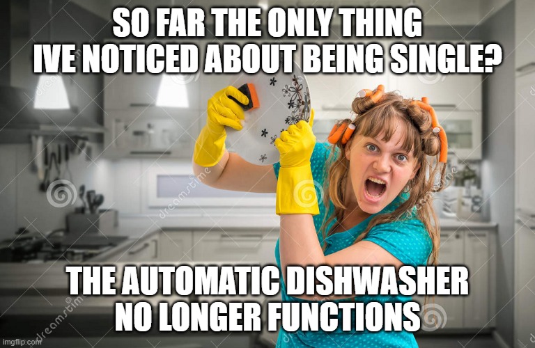 Divorced and Loving it | SO FAR THE ONLY THING IVE NOTICED ABOUT BEING SINGLE? THE AUTOMATIC DISHWASHER NO LONGER FUNCTIONS | image tagged in dishwasher,single,single life | made w/ Imgflip meme maker