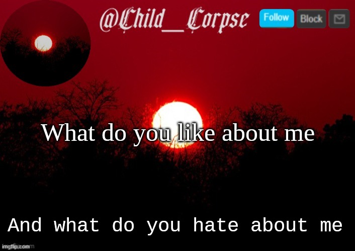 Child_Corpse announcement template | What do you like about me; And what do you hate about me | image tagged in child_corpse announcement template | made w/ Imgflip meme maker