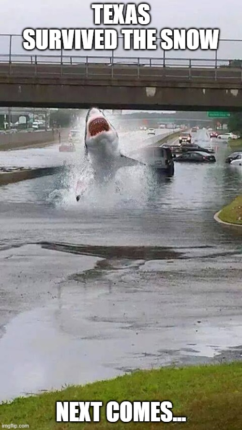  TEXAS SURVIVED THE SNOW; NEXT COMES... | image tagged in flooded potholes,shark attack | made w/ Imgflip meme maker
