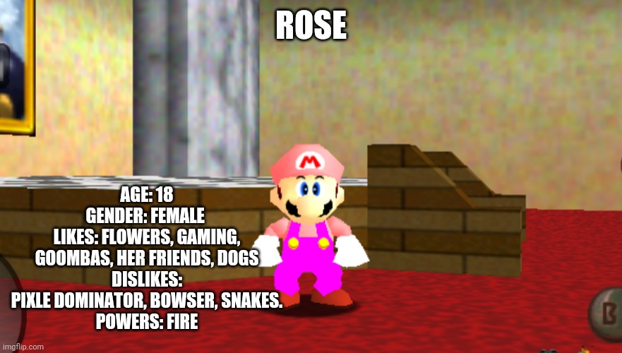 She's back | ROSE; AGE: 18
GENDER: FEMALE 
LIKES: FLOWERS, GAMING, GOOMBAS, HER FRIENDS, DOGS
DISLIKES: PIXLE DOMINATOR, BOWSER, SNAKES.
POWERS: FIRE | made w/ Imgflip meme maker