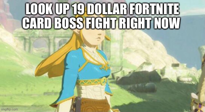 Judging zelda | LOOK UP 19 DOLLAR FORTNITE CARD BOSS FIGHT RIGHT NOW | image tagged in judging zelda | made w/ Imgflip meme maker