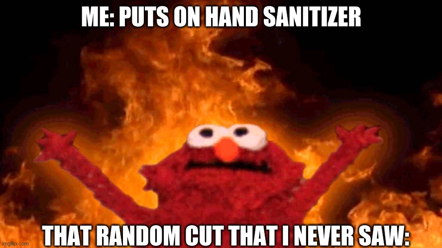 ouch. | ME: PUTS ON HAND SANITIZER; THAT RANDOM CUT THAT I NEVER SAW: | image tagged in elmo fire,bad luck brian,funny,funny memes,memes,dank memes | made w/ Imgflip meme maker