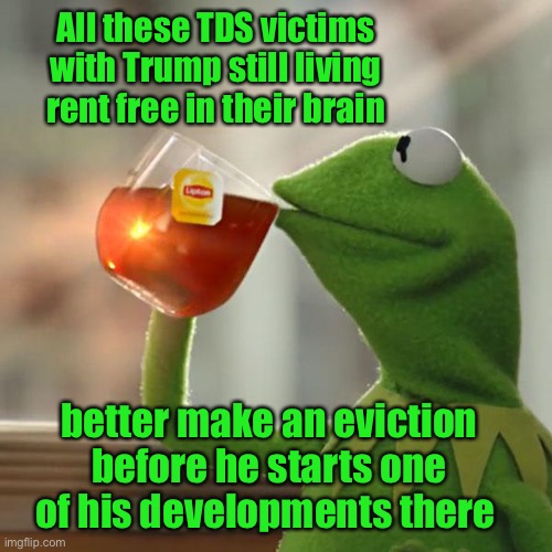 But That's None Of My Business Meme | All these TDS victims with Trump still living rent free in their brain; better make an eviction before he starts one of his developments there | image tagged in memes,but that's none of my business,kermit the frog,trump derangement symdrome,tds,mental | made w/ Imgflip meme maker