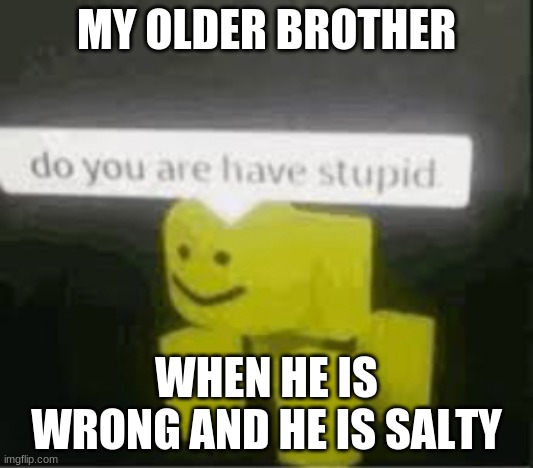 do you are have stupid | MY OLDER BROTHER; WHEN HE IS WRONG AND HE IS SALTY | image tagged in do you are have stupid,funny memes | made w/ Imgflip meme maker