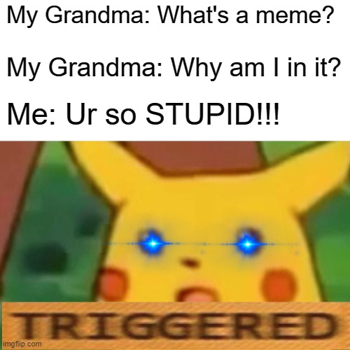 Grandmaameme | My Grandma: What's a meme? My Grandma: Why am I in it? Me: Ur so STUPID!!! | image tagged in memes,surprised pikachu | made w/ Imgflip meme maker