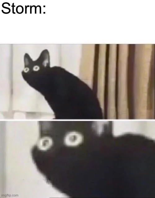 Oh No Black Cat | Storm: | image tagged in oh no black cat | made w/ Imgflip meme maker