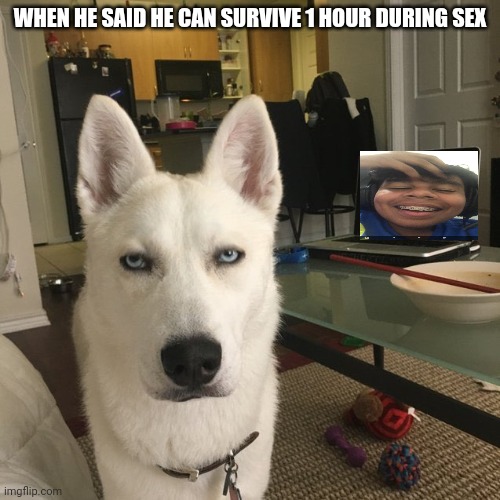 Nice | WHEN HE SAID HE CAN SURVIVE 1 HOUR DURING SEX | image tagged in sex | made w/ Imgflip meme maker