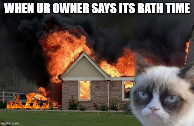 Burn Kitty Meme | WHEN UR OWNER SAYS ITS BATH TIME | image tagged in memes,burn kitty,grumpy cat | made w/ Imgflip meme maker