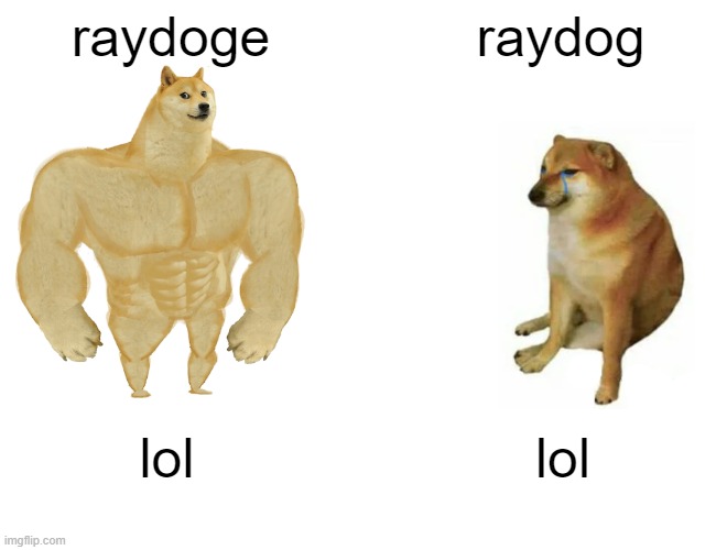 Buff Doge vs. Cheems | raydoge; raydog; lol; lol | image tagged in memes,buff doge vs cheems | made w/ Imgflip meme maker